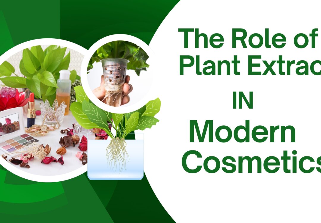 The Role of Plant Extracts in Modern Cosmetics